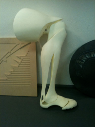 Illustration for article titled 9 Aesthetic Prosthetics
